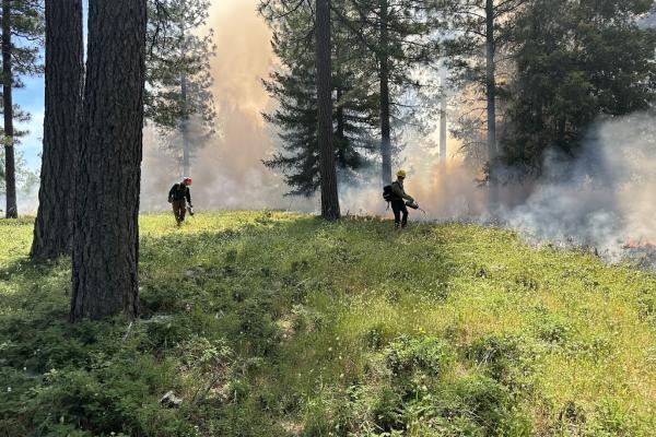 Community Burning on King Hill Ranch